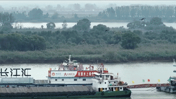 7.gif