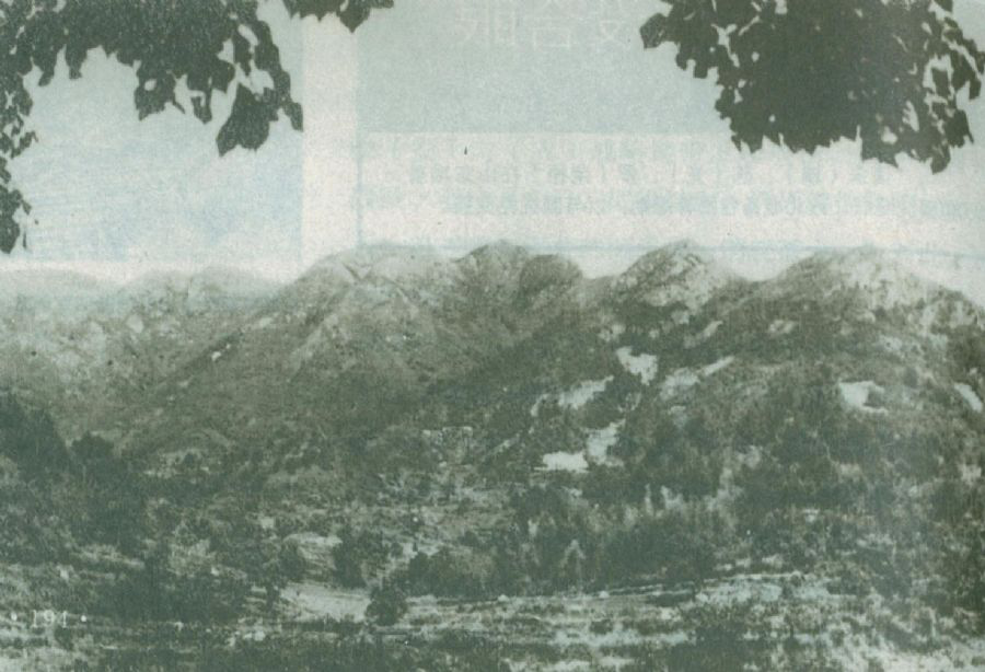dsrz20210402011.png