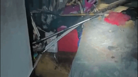 64003.gif